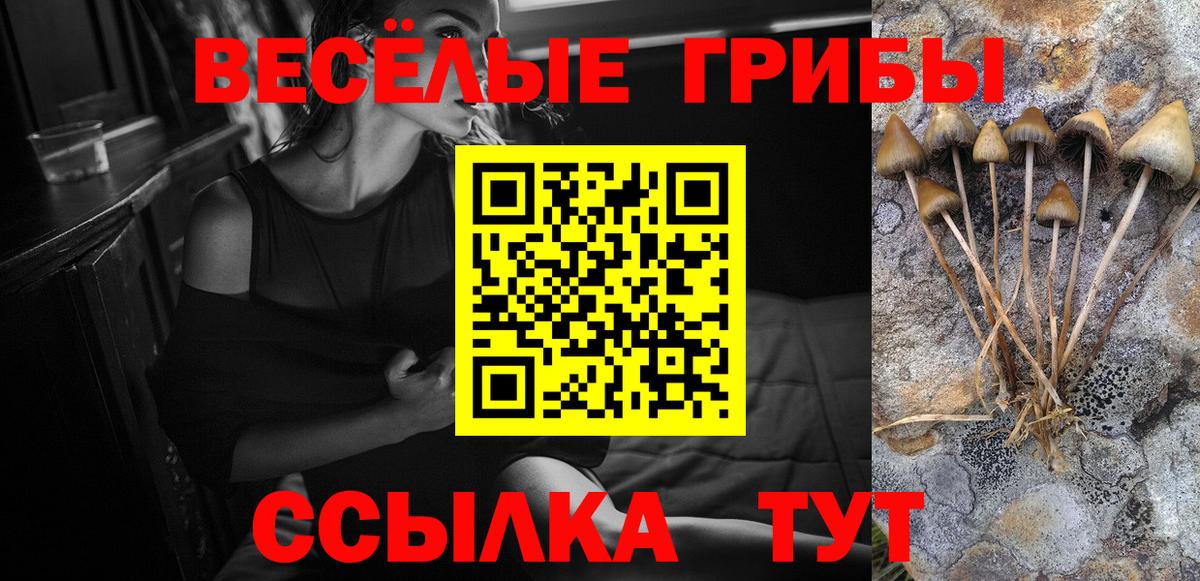 Галлюциногенные грибы Cubensis  Вход с VPN  Заволжье 