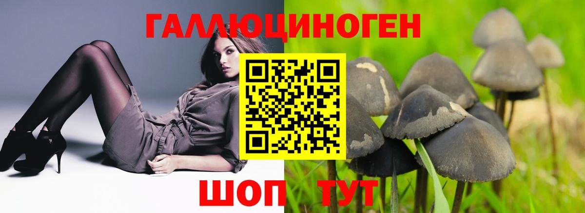 Меф МЯУ МЯУ   ГАШ  Бошки Шишки  Заволжье  ЭКСТАЗИ  COCAIN  Вход с VPN  Alpha PVP СОЛЬ  